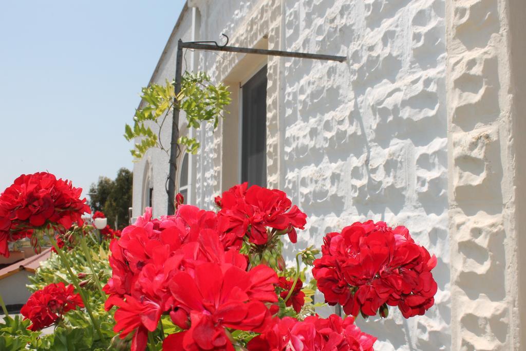 B&B Stella Marina Manfredonia Exterior photo